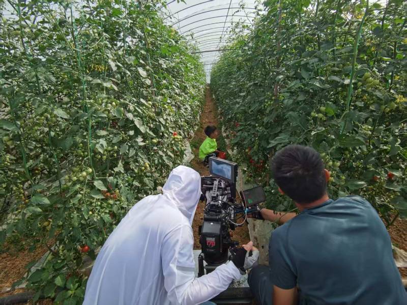 银海区产品宣传视频拍摄公司进阶指南，助力品牌抢占传播高地